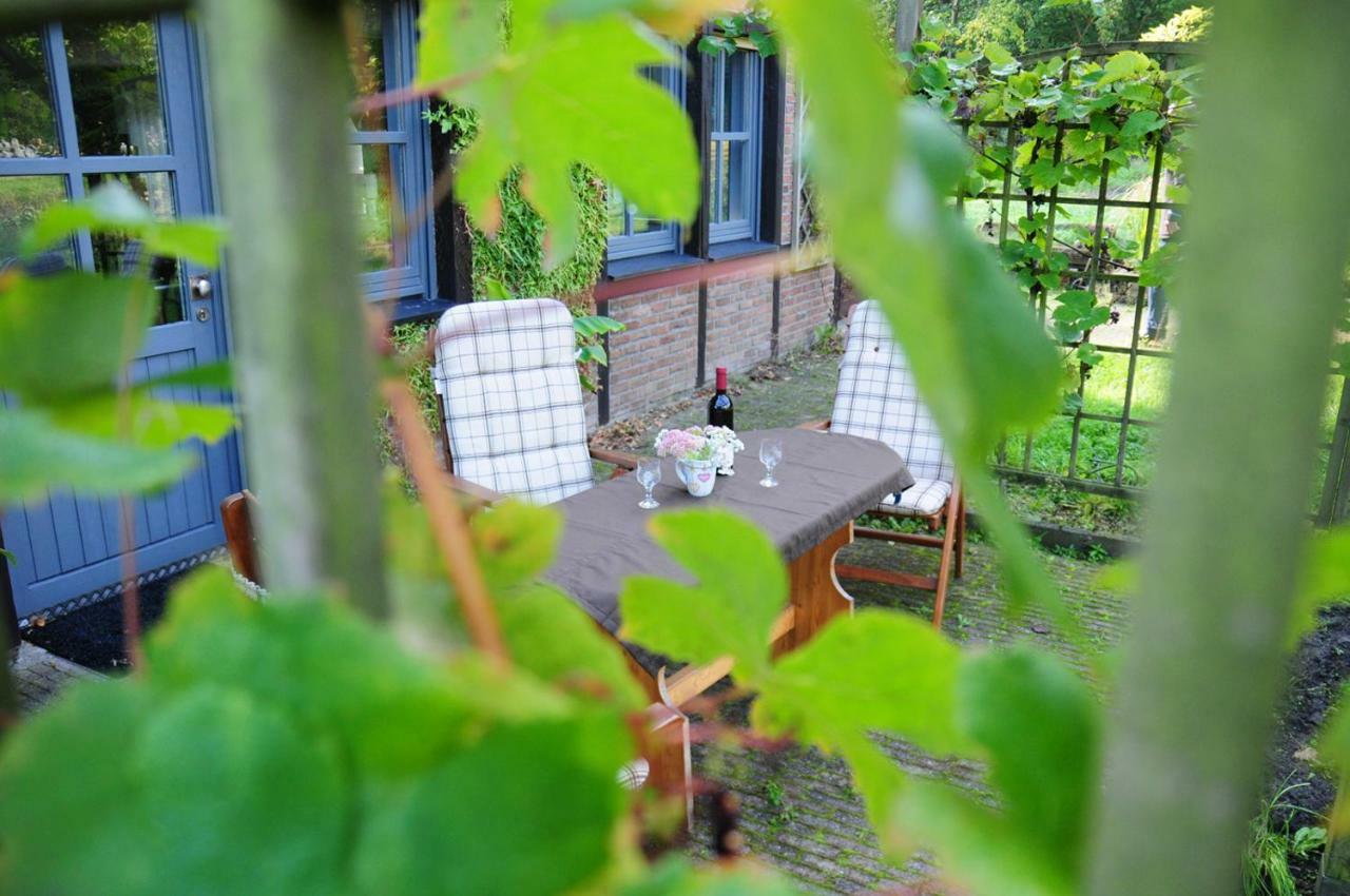 Apartament Aaltine 3 Bad Bentheim Zewnętrze zdjęcie